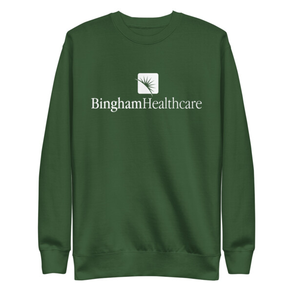 Bingham Sweatshirt Plain - Unisex - Image 6