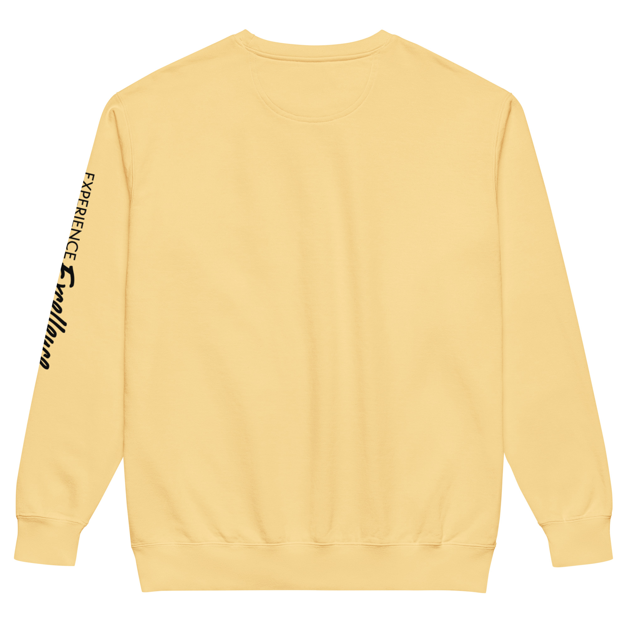 CM.Unisex garment-dyed sweatshirt - Image 25