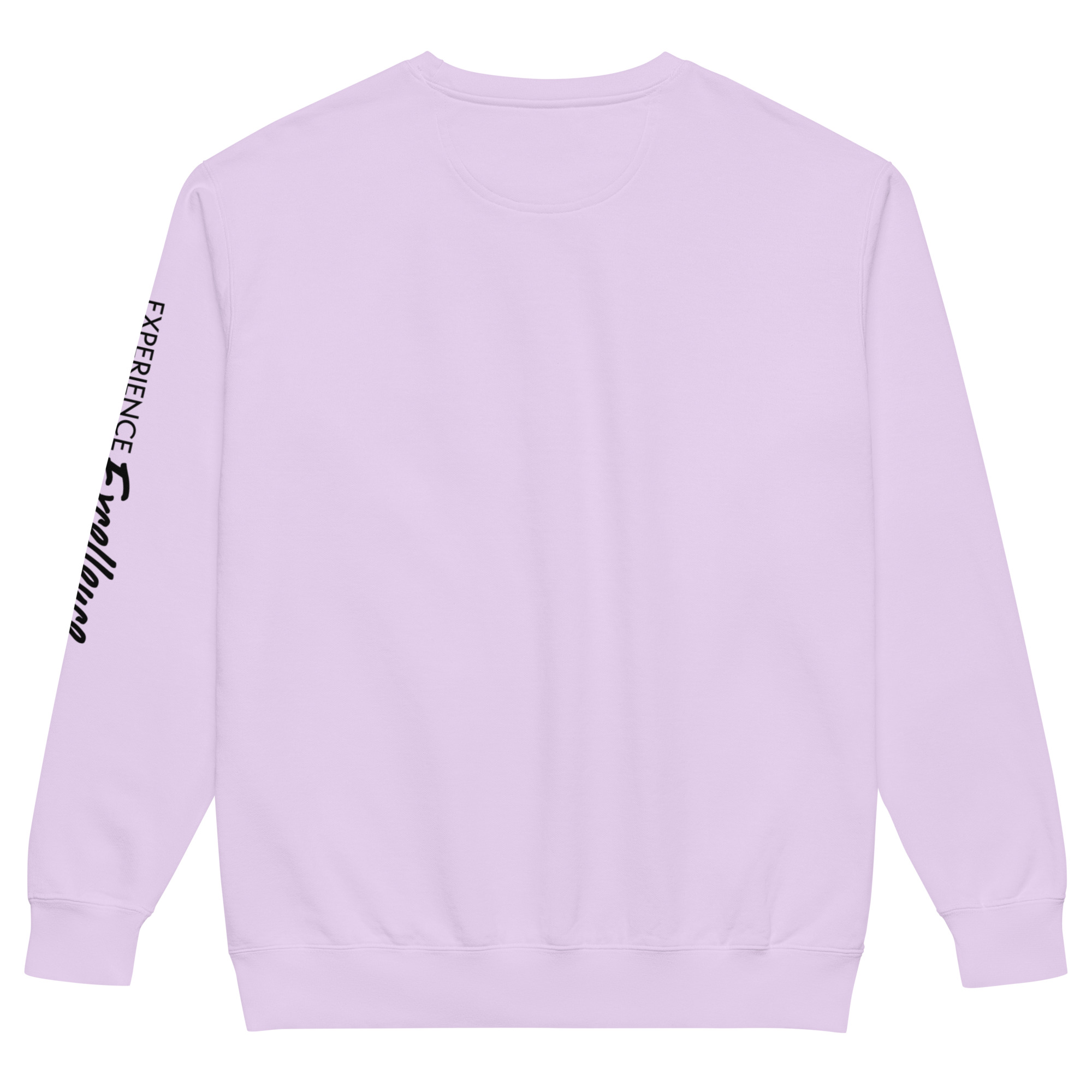 CM.Unisex garment-dyed sweatshirt - Image 23