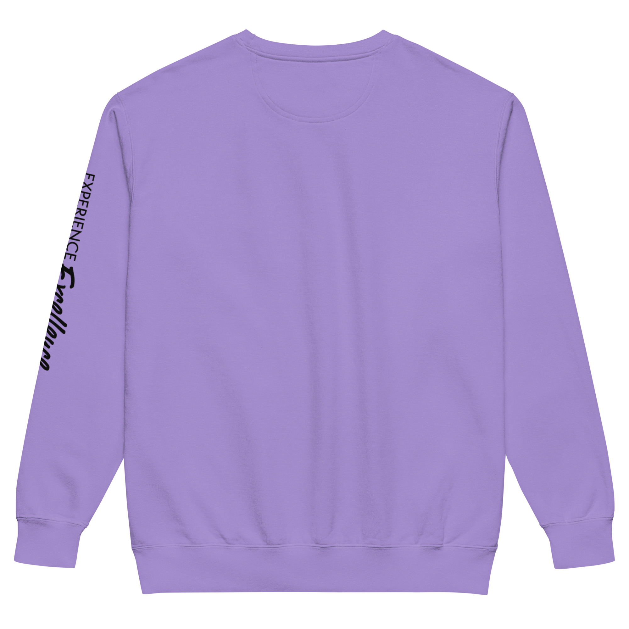CM.Unisex garment-dyed sweatshirt - Image 20