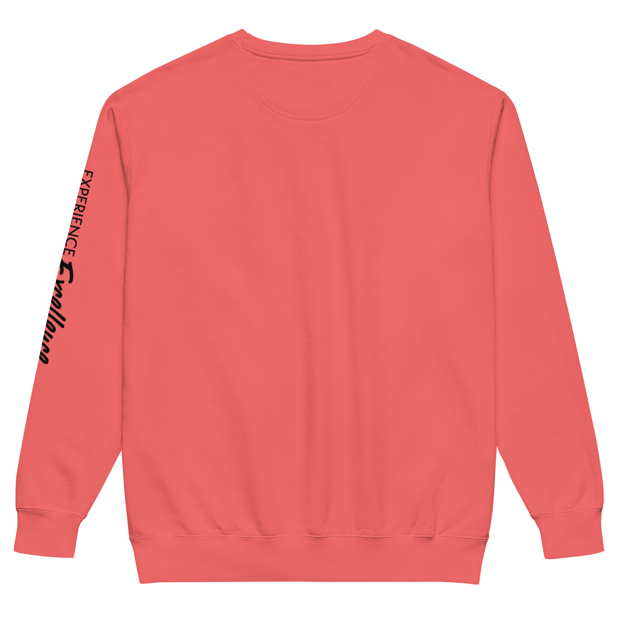 CM.Unisex garment-dyed sweatshirt - Image 16